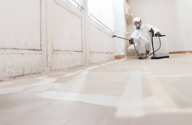 24/7 Emergency Black Mold Removal experts in Oak Ridge, TN