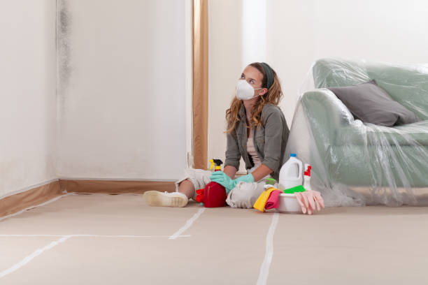 Reliable Black Mold Removal contractor in Oak Ridge, TN by WQB Mold Removal